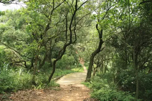 20080621 199 調整大小.webp