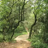 20080621 199 調整大小