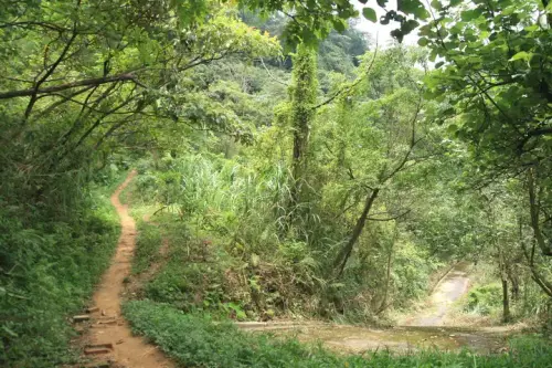 20080621 206 調整大小.webp