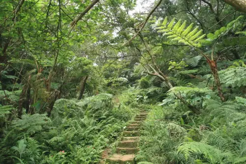 20080621 214 調整大小.webp