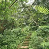 20080621 214 調整大小