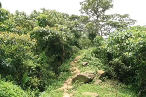 20080621 197 調整大小.webp