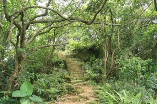 20080621 202 調整大小.webp