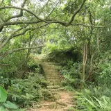 20080621 202 調整大小