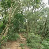 20080621 236 調整大小