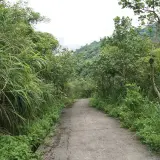 20080621 250 調整大小