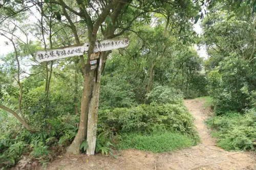 20080621 242 調整大小.webp