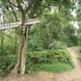 20080621 242 調整大小