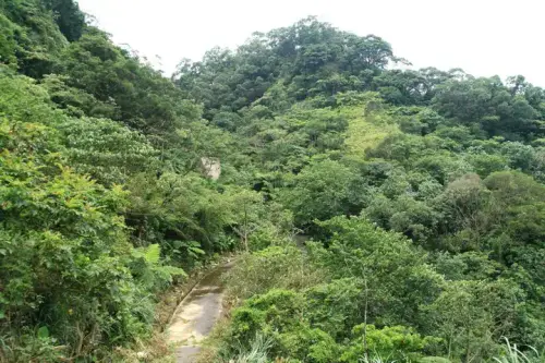 20080621 208 調整大小.webp