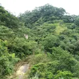 20080621 208 調整大小