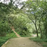 20080621 200 調整大小