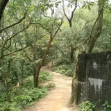 20080621 216 調整大小