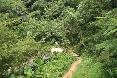 20080621 248 調整大小.webp