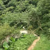 20080621 248 調整大小