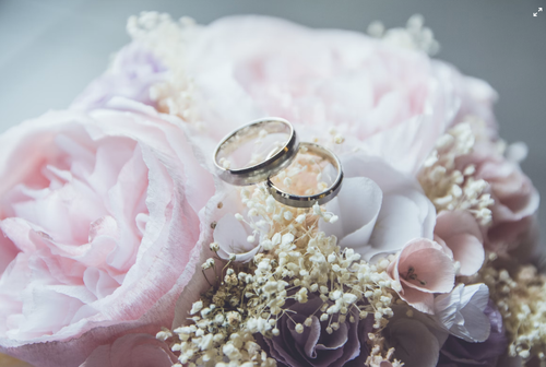 ringss.png