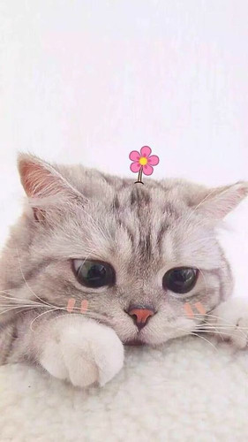 image.jpg
