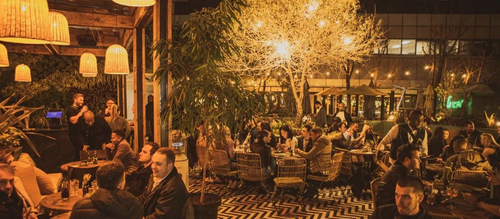 greenhouse space 2.png