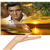30192335pVIg7WDh.png