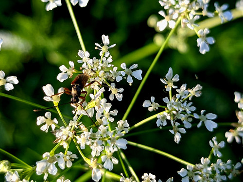 PXL 20230629 3.PORTRAIT