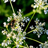 PXL 20230629 3.PORTRAIT