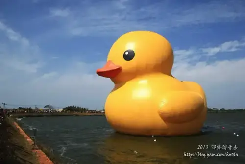 20131027 072.webp