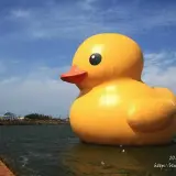 20131027 072