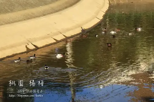 20131109 087.webp