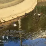 20131109 087