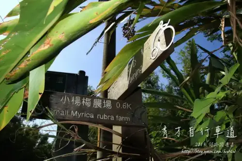 20131109 293.webp