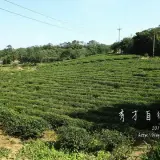 20131109 287