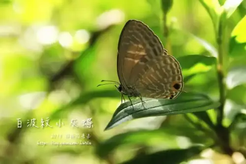 20131109 157.webp
