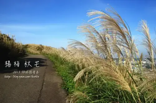 20131109 204.webp