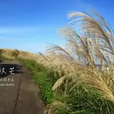20131109 204
