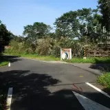 20131109 284