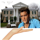 532939355WBhXq.png