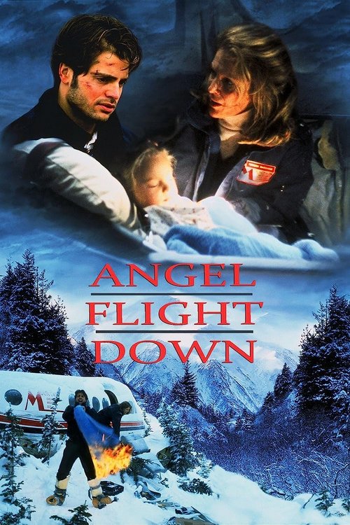 Awaryjne lądowanie / Angel Flight Down (1996) PL.1080p.WEB-DL.H264-wasik / Lektor PL