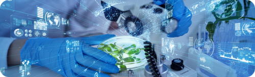 AgricultureEng image.png