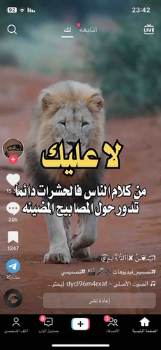 FB970106 9FB4 4936 AA9C 2735AFAF9892.jpg