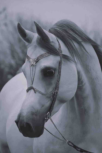 297B57D7 8528 4FDD A0CA 61C72C28A42A.jpg