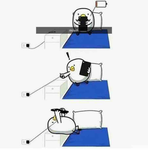 B59D6BDB 9395 49BF 8070 2142C17167A5.jpg