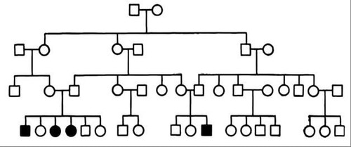 file 465.jpg