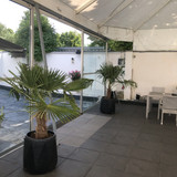 1DE5B221 22A3 4F86 8676 E3F4D520A047