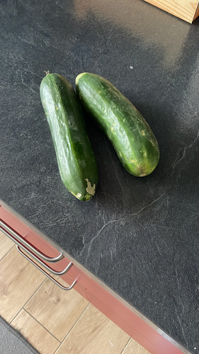 90D2F95B 0D21 49B7 AA1D F81F6E56730A.jpg