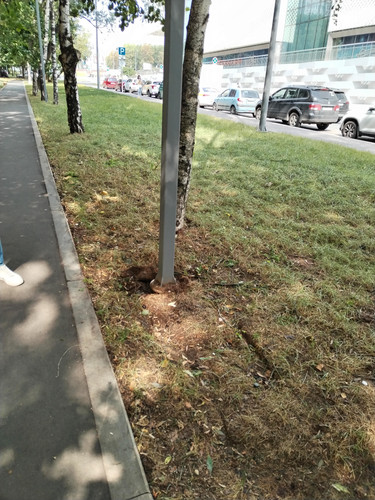 IMG 20230702 100438.jpg