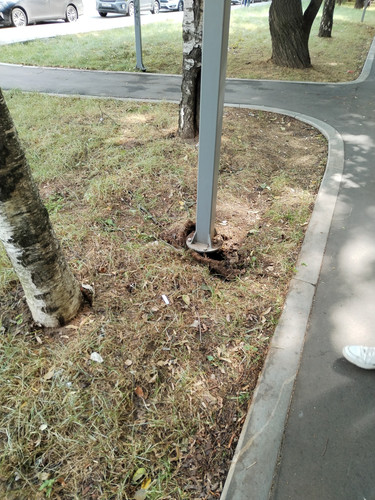 IMG 20230702 100427.jpg