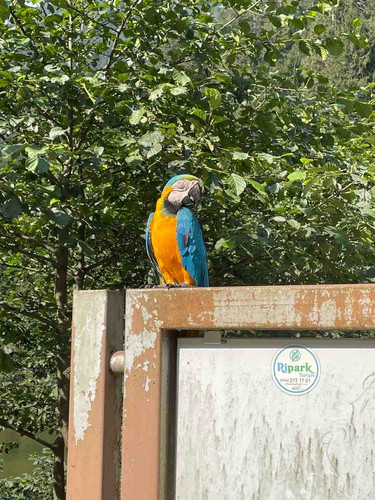 4CC9FD84 9CB5 42ED 987F 6D7849B6CC5B.jpg