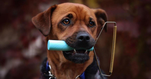 wd3qevzqffkug4vpwc5ol4mr6beap6pa atilio massaknocking com.png