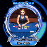 dragon tiger.gif