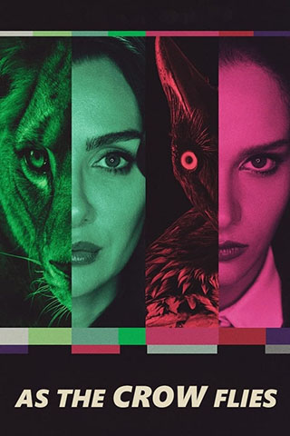 As the Crow Flies (2022).jpg