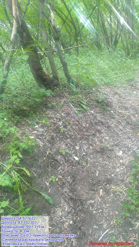20230630 193212.jpg